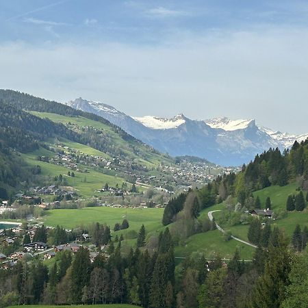 Chalet Saint Victor, Praz Sur Arly Bagian luar foto